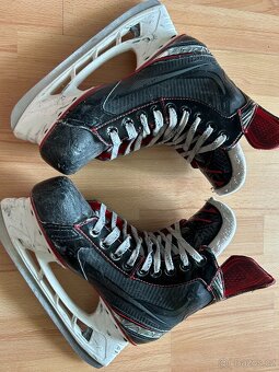 Bauer vapor x2.7 brusle - 3
