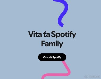 Spotify Premium 3/6/12 | nejlepší cena - 3