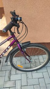 Dámské kolo Maxbike - 3
