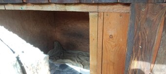 Prodám psi boudu - 3