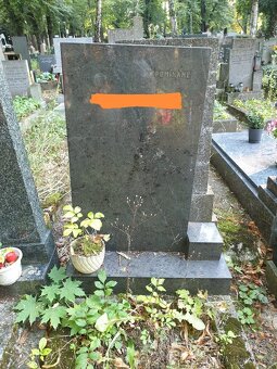 Hrobové místo Olšany - 3