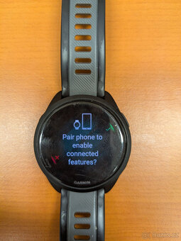 Garmin Forerunner 165 - 3