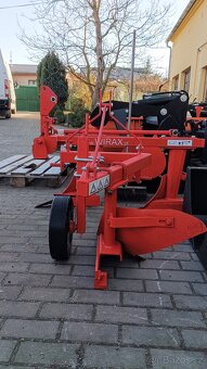 Pluh jednoradličný - 3