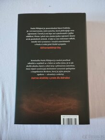 A. M. Ollikainen Na houpačce - 3