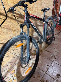 Horské kolo Author - 3