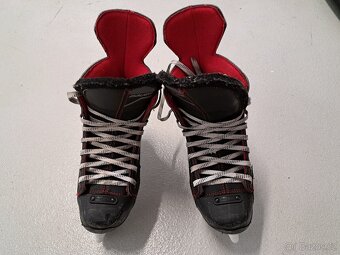 Brusle lední - BAUER NS velikost 36 - 3
