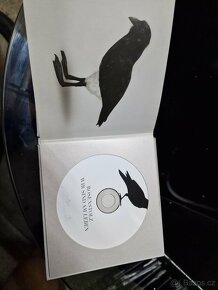 Rosenstolz- wir sind am Laben - 3