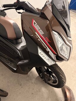 Kentoya Maximus r.v. 2024 - 3