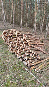 palivové dřevo suché borovice Příbram Milín Sedlčany cca20m3 - 3