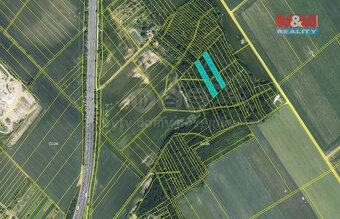 Prodej lesa, 4332 m², Držovice - 3