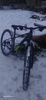 Rock machine Manhattan - 3