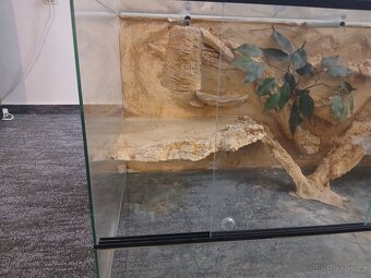 Terarium - 3