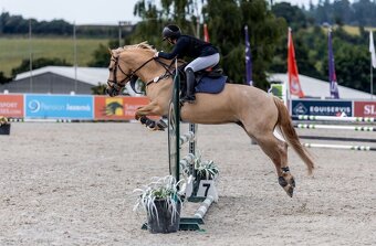 TOP pony na prodej - 3