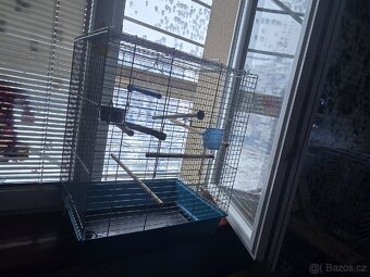 Prodám klec - 3