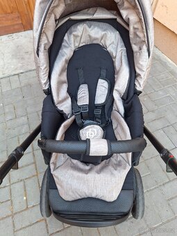 Dorjan Dream 2023 - 3