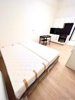 krásný byt 1+kk, 27m2 v ul. Poděbradská, Praha 9 - Vysočany - 3