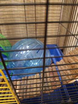 Klec pro hlodavce - 3