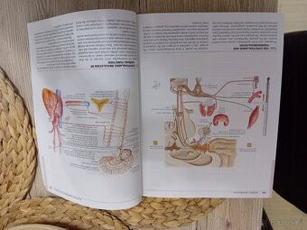 Netter's atlas of neuroscience 4th edition - Felten, neuroa - 3
