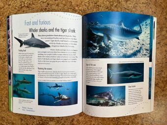 kniha junior encyclopedia of australian sealife - 3
