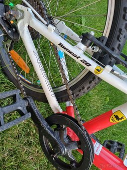 Amulet Tomcat 20 - 3