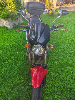 Suzuki Bandit 600 - 3