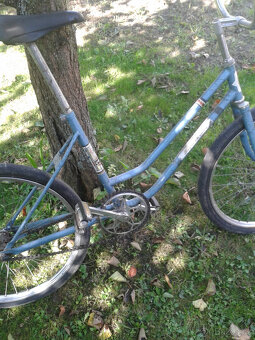 DIVCI VELAMOS KOLO - 3