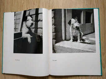 Karel Čapek: Dášeňka čili život štěněte - 3