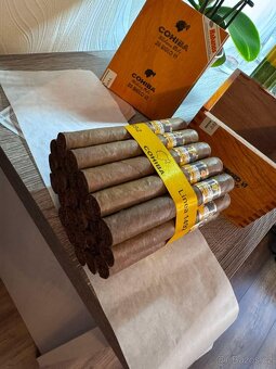 Cohiba siglo VI - 3