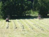 Čelní shrnovač AGRONIC WR 500 - 3