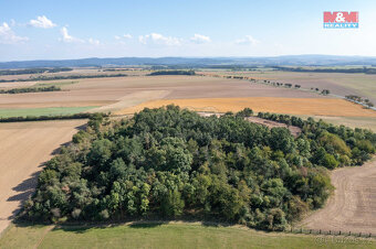 Prodej lesa, 9132 m², Panoší Újezd - 3