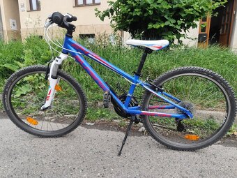 Superior Racer 24 - 3