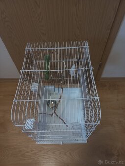 Klec pro drobné ptactvo - 3