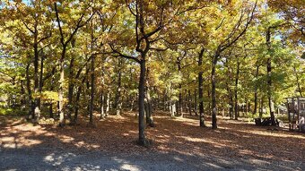 Prodej stavebního pozemku 1261 m² Vltavská, Březová-Oleško - - 3