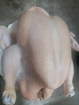 Kuře v kuchyňské přípravě - 3