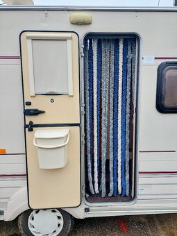 BAYLEY PAGEANT MAJESTIC | rok v. 2001 | hmotnost 1 050 kg - 3