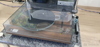 Gramofon Rega Planar 3 50th Anniversary Edition - 3