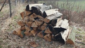 Prodam drevo buk palivo - 3
