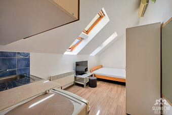 Pronájem bytové jednotky 1+kk, 20 m², Staré Město - Brněnská - 3
