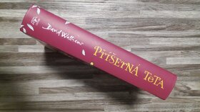 PŘÍŠERNÁ TETA - 3