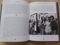 Beyoncégrafie. - 3