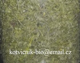 Kotvičník sušený nať - 3