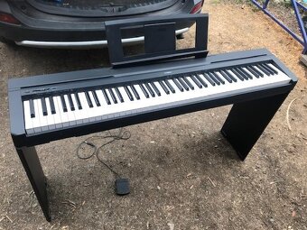Stage piano s kladívkovou mechanikou Casio a Yamaha - 3