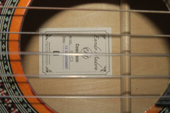 Kytara TANGLEWOOD EM C3 - 3