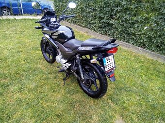 Honda CBF 125 - 3