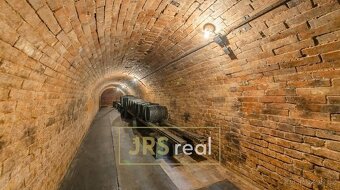 Pronájem vinného sklepa, 66 m2, Hovorany, ev.č. 170045JS - 3