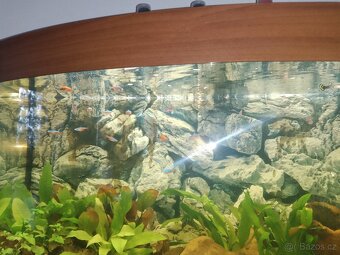 Prodám akvarium Juwel 180 litrů - 3