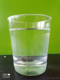 pelety - agro pelety 6 a 8 mm - 3