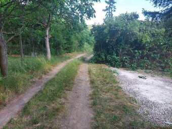 Prodám zahradu v Brně v Obřanech 411m2 - 3