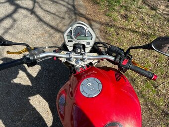 Honda Hornet 600 - 3