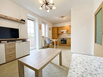 Pronájem bytu 1+kk, 24 m², Jindřichův Hradec, ul. Nušlova - 3